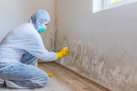 Best Crawl Space Mold Remediation  in Fort Lauderdale, FL