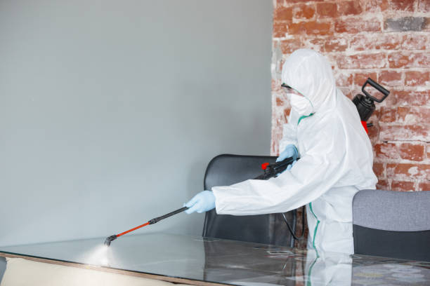 Best Mold Remediation for Healthcare Facilities  in Fort Lauderdale, FL