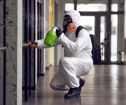 Best Emergency Mold Remediation  in Fort Lauderdale, FL